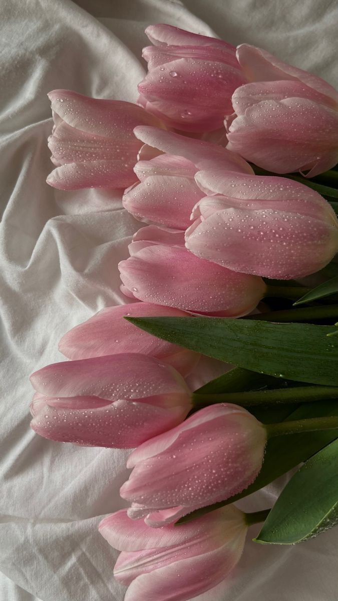 iphone pink flower wallpaper 0077