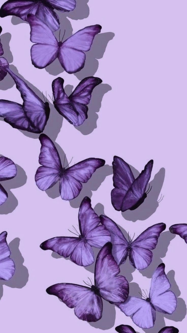 iphone purple butterfly wallpaper with floral patterns