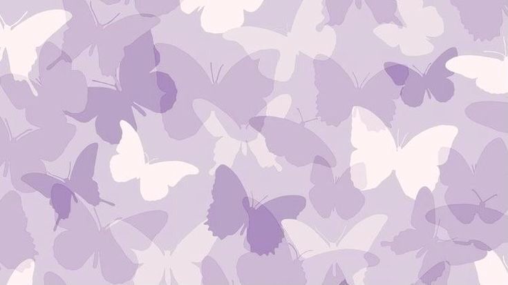 iphone purple butterfly wallpaper 0024