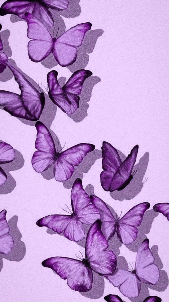 iphone purple butterfly wallpaper 0032