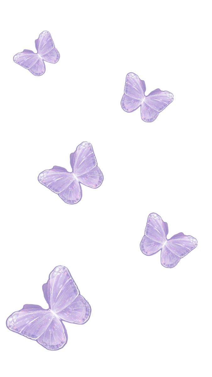 iphone purple butterfly wallpaper 0042