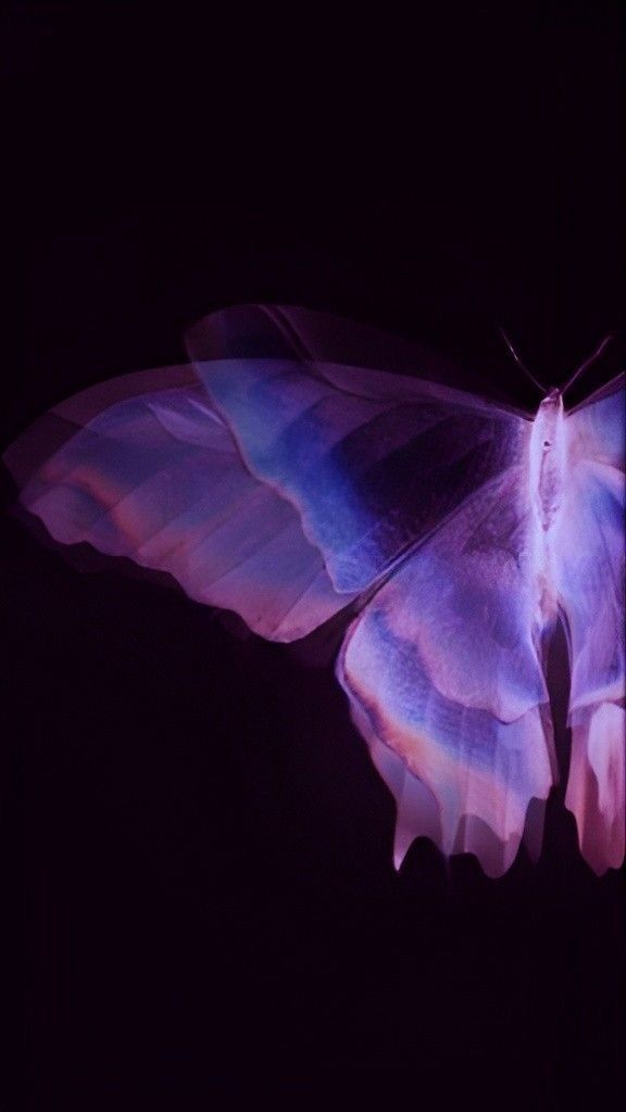 iphone purple butterfly wallpaper 0057