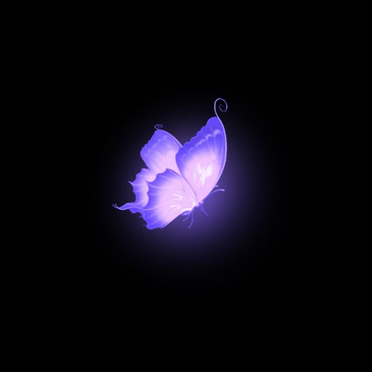 iphone purple butterfly wallpaper 0071