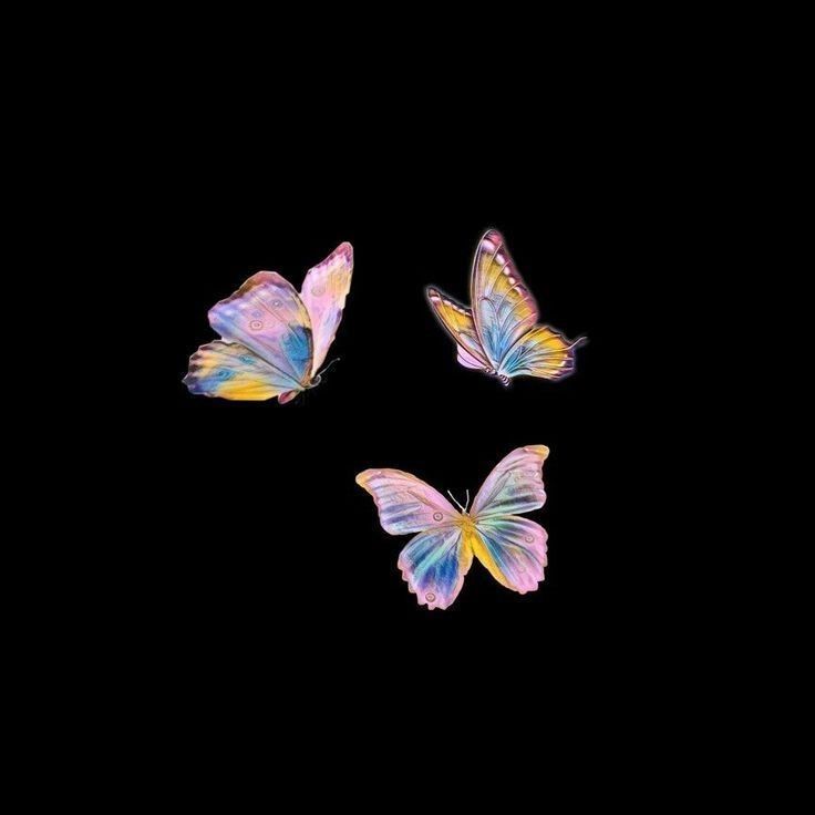 iphone purple butterfly wallpaper 0075