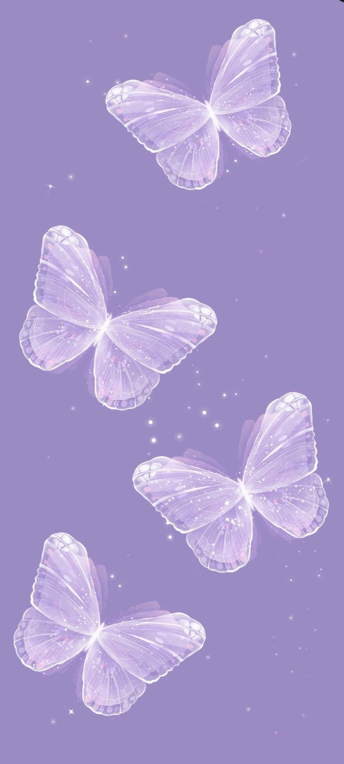 iphone purple butterfly wallpaper 0081