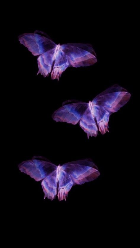 iphone purple butterfly wallpaper 0088