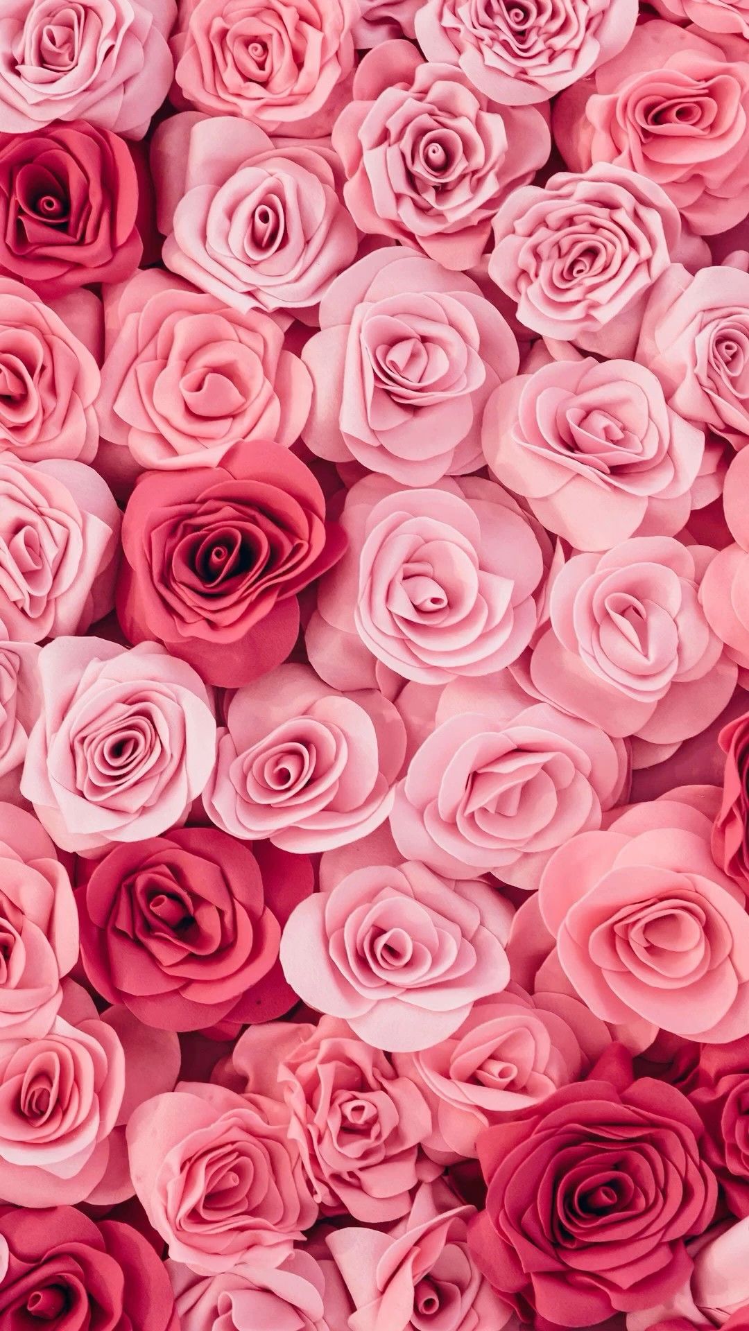 iphone rose wallpaper 0057