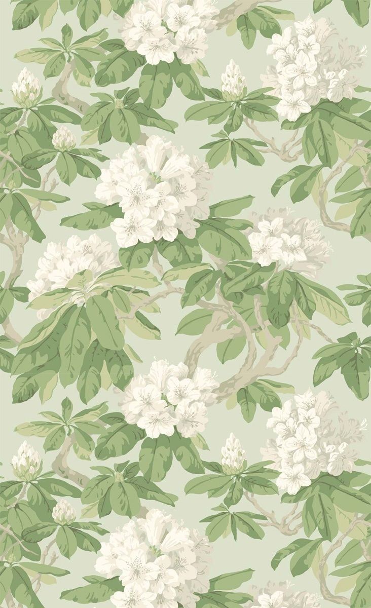 iphone sage green wallpaper for personalizing devices