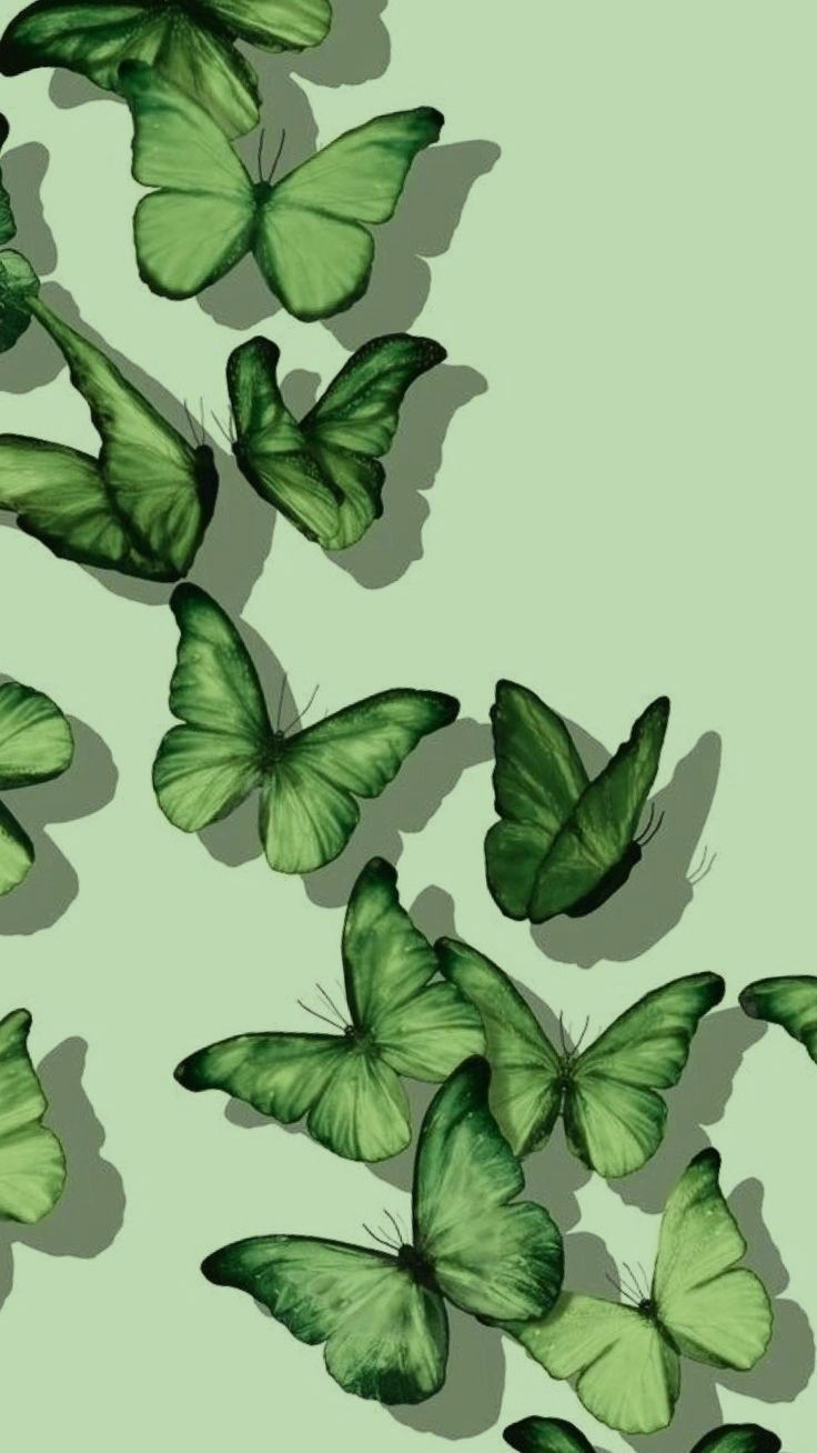 iphone sage green wallpaper 0038