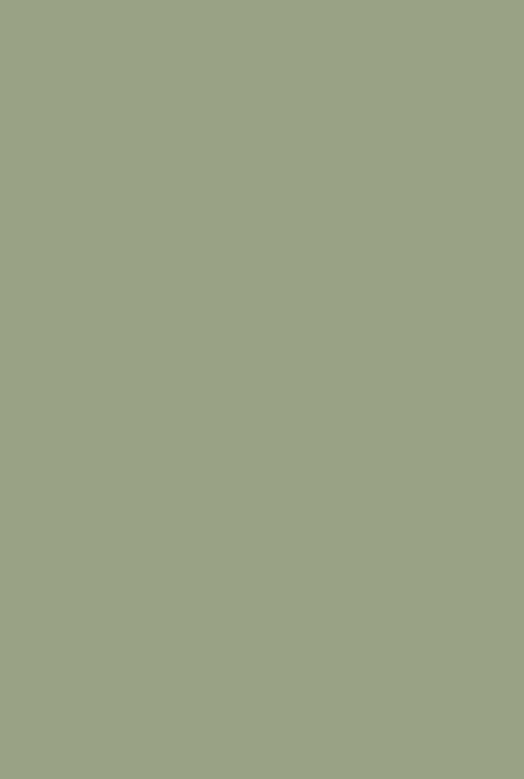 iphone sage green wallpaper 0062