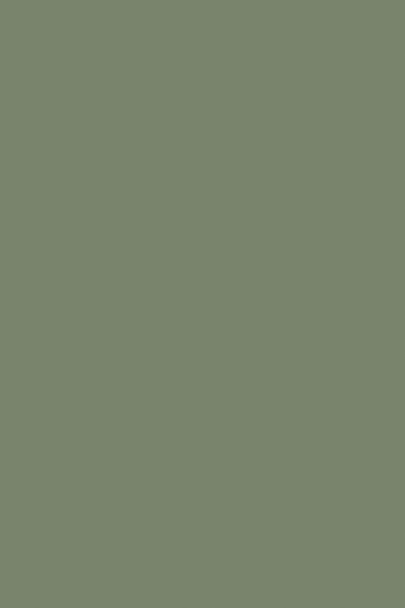 iphone sage green wallpaper 0074