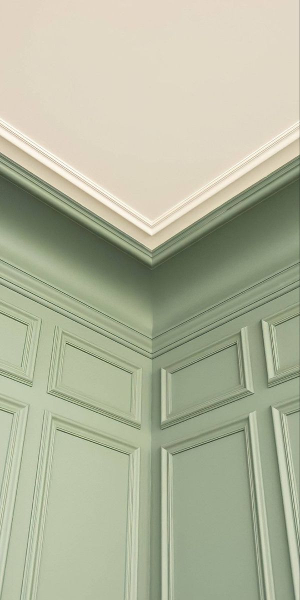 iphone sage green wallpaper 0088