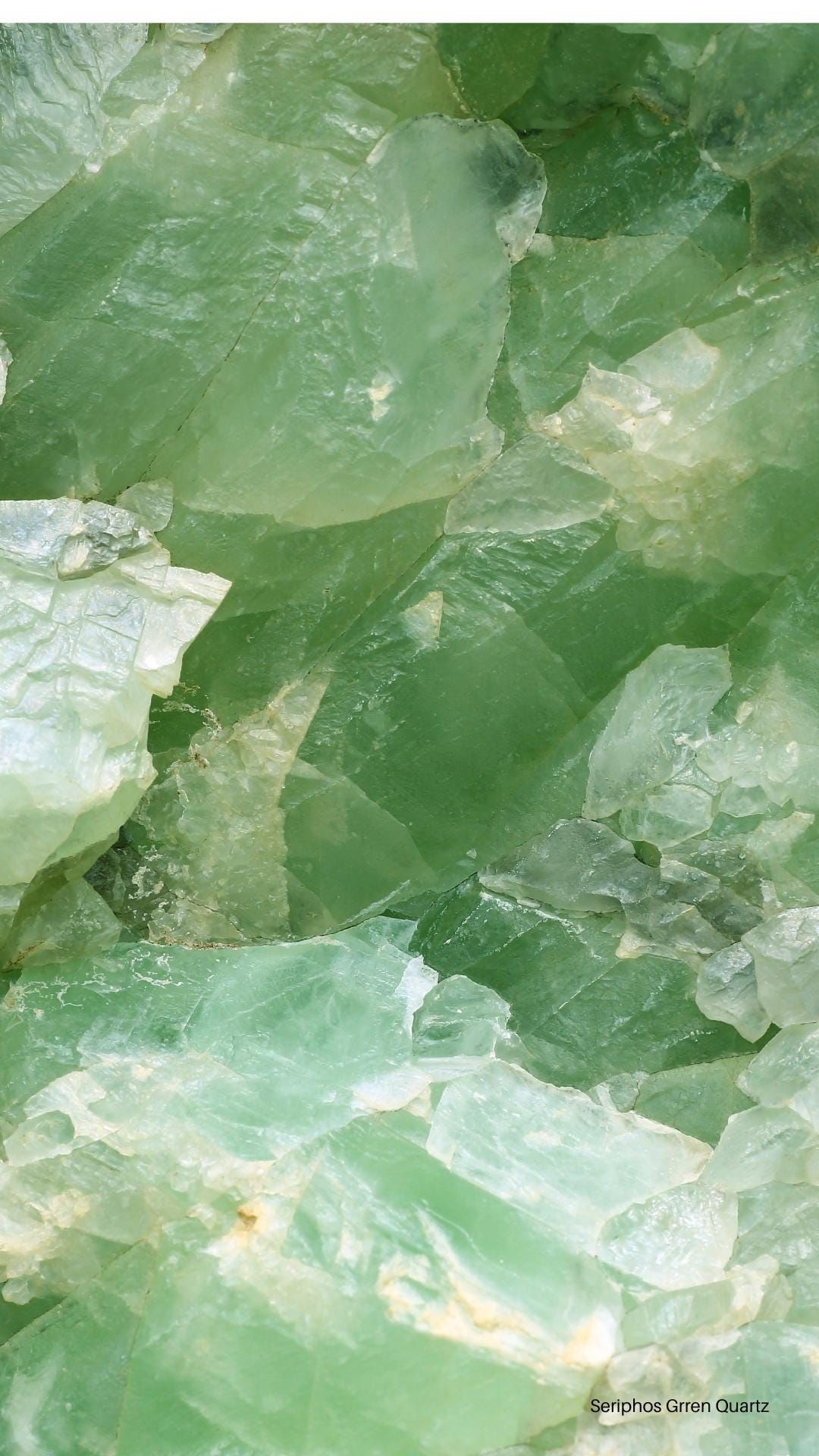 iphone sage green wallpaper 0089