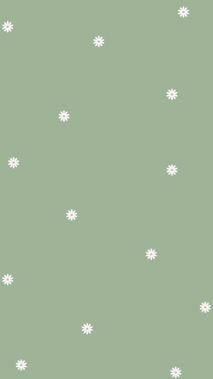 iphone sage green wallpaper 0096