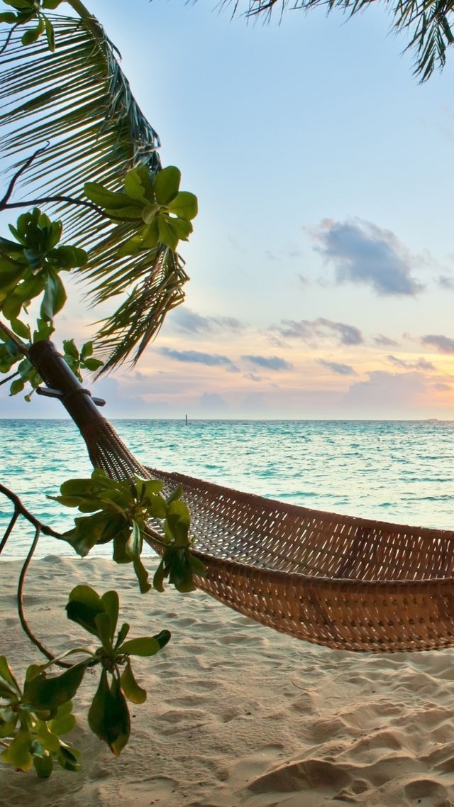 iphone tropical wallpaper download