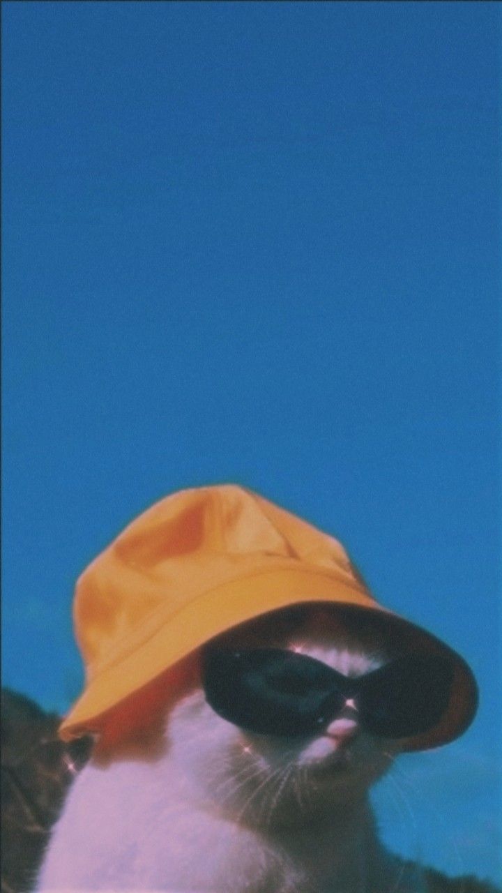 iphone wallpaper aesthetic 0031