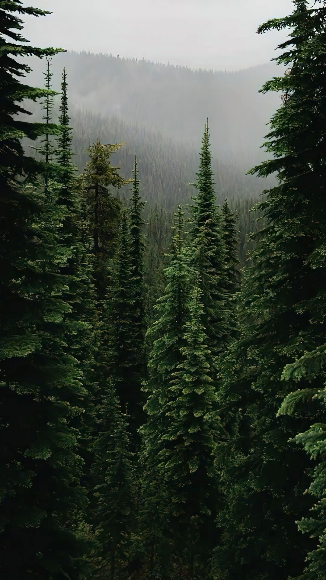 iphone wallpaper nature 0048