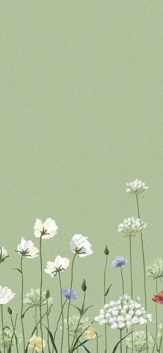 minimalist boho iphone wallpaper 0059