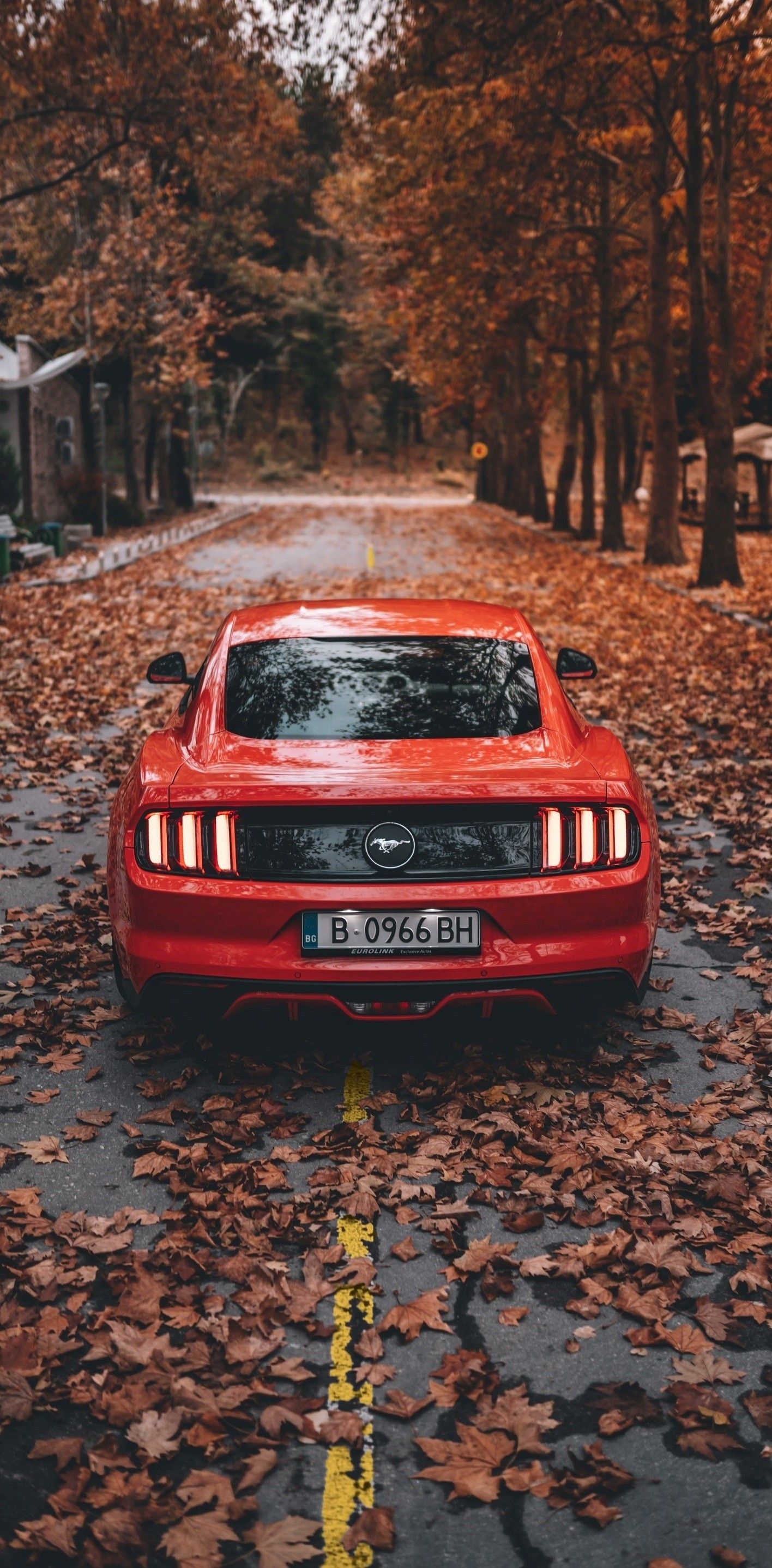 mustang wallpaper iphone 0032