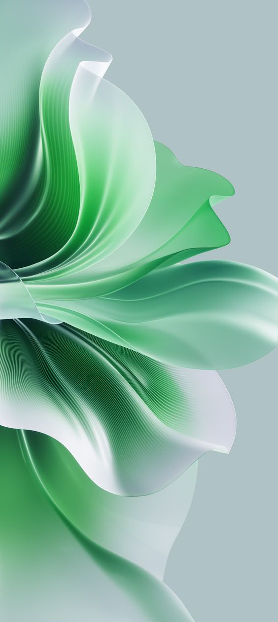 nature-themed iphone 11 pro wallpaper options