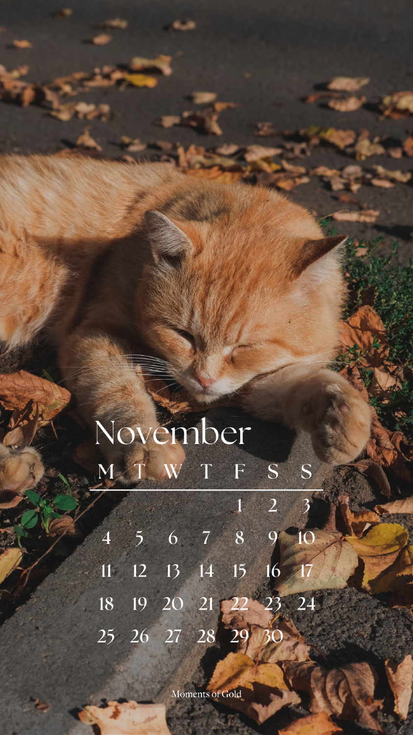 november wallpaper iphone 0053