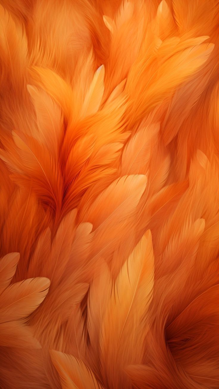 orange iphone wallpaper 0069