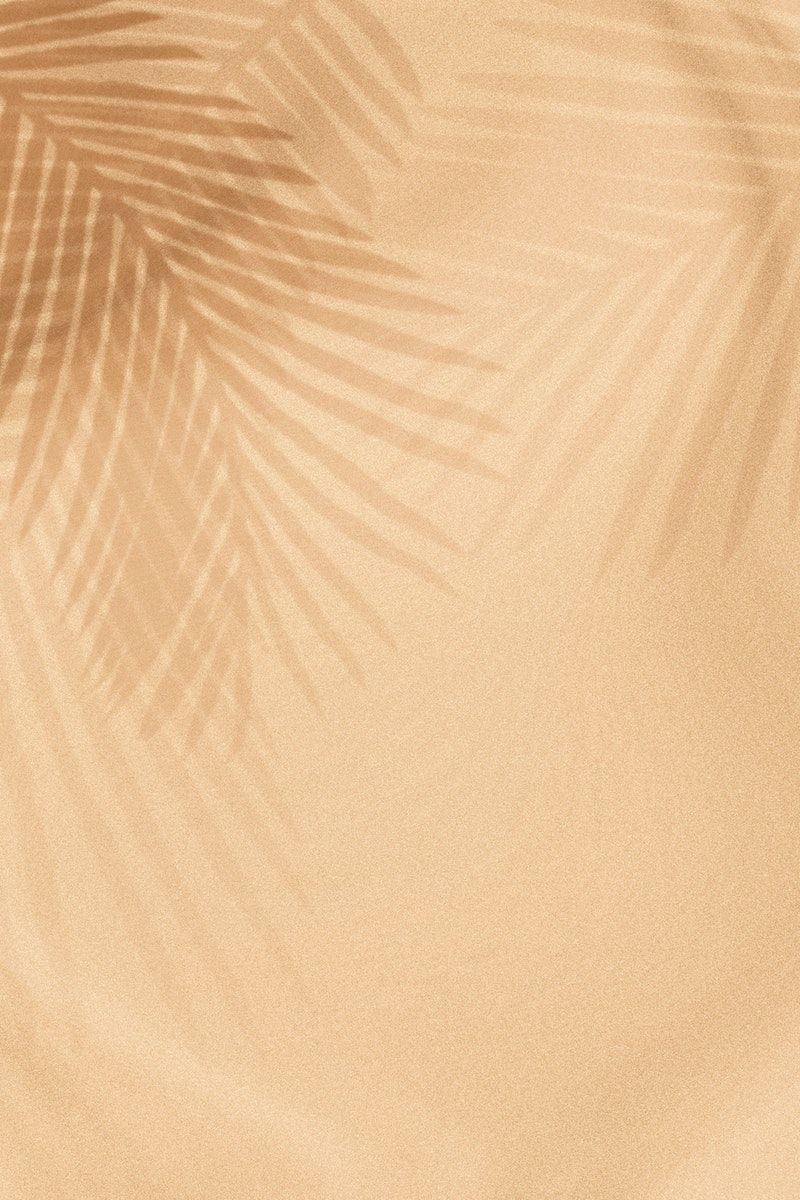 palm tree iphone wallpaper 0083