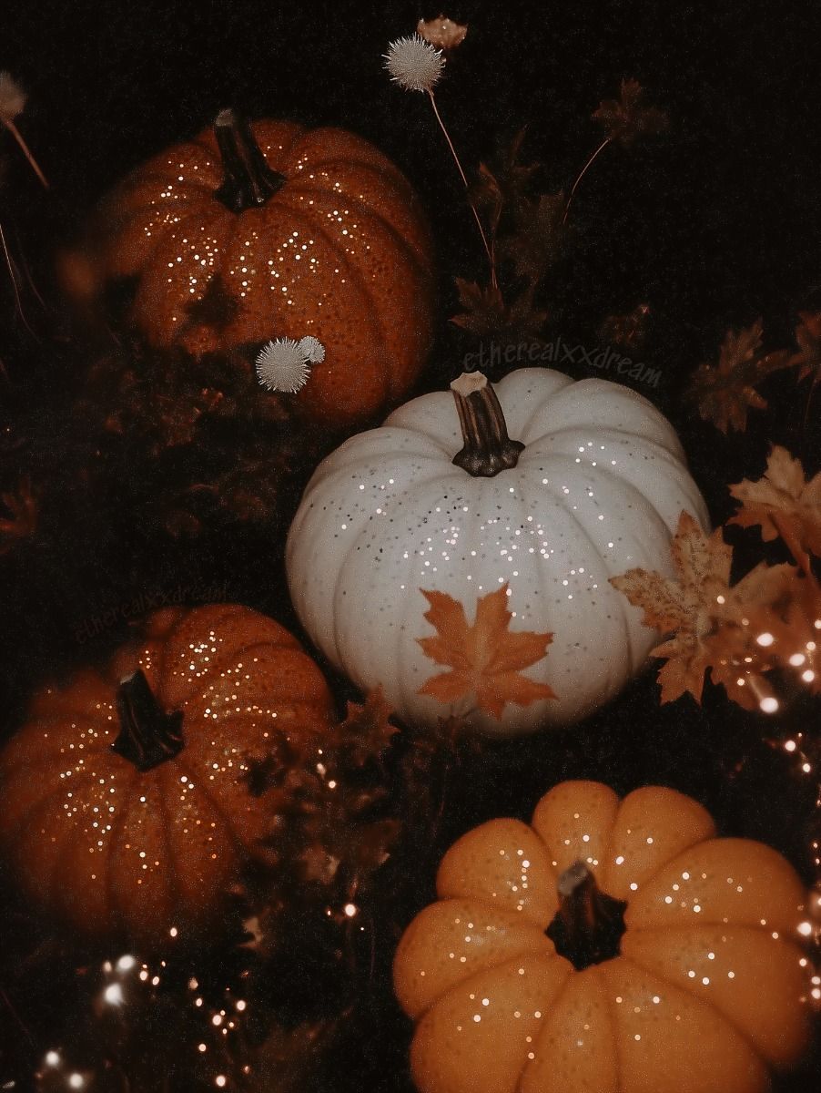 pumpkin iphone wallpaper 0053