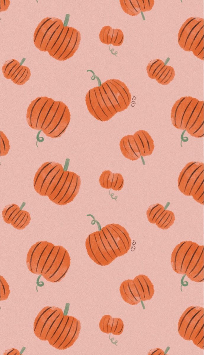 pumpkin iphone wallpaper 0065