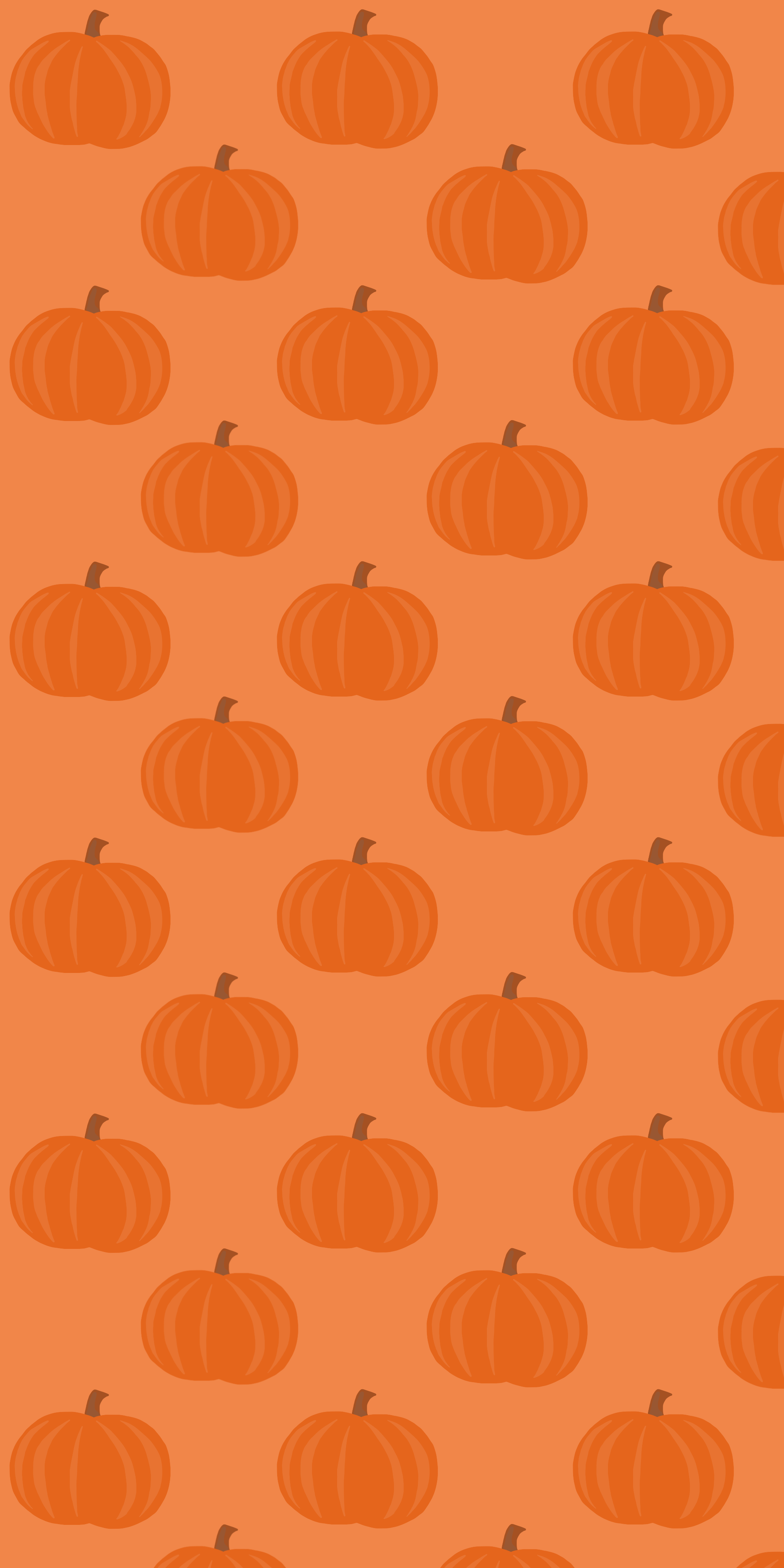 pumpkin iphone wallpaper 0095