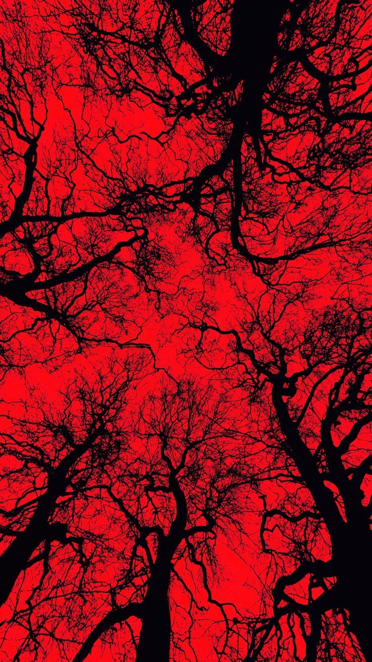 red iphone wallpaper 0040