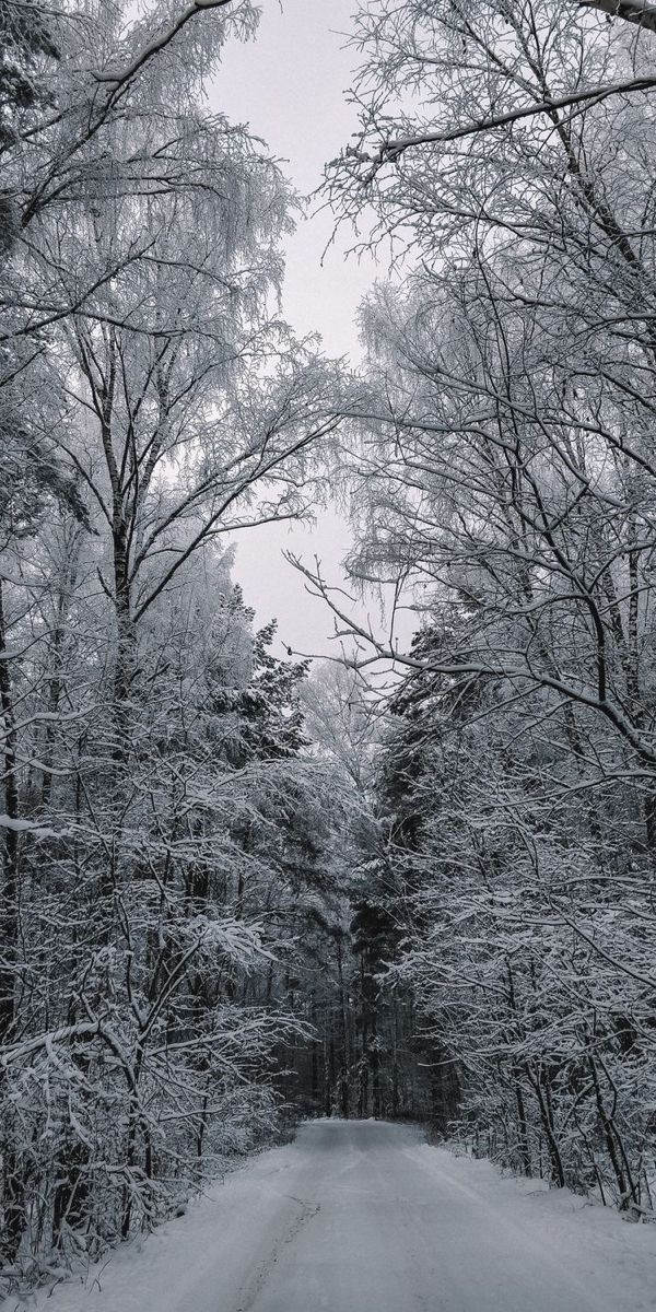 serene snow iPhone backgrounds