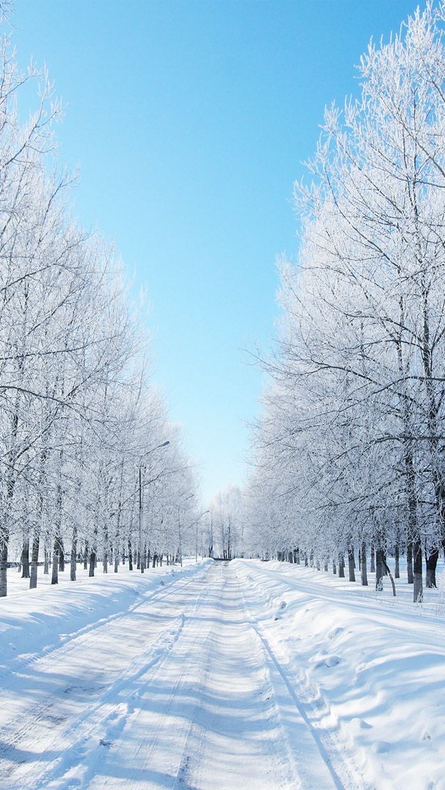 snow iphone wallpaper 0040