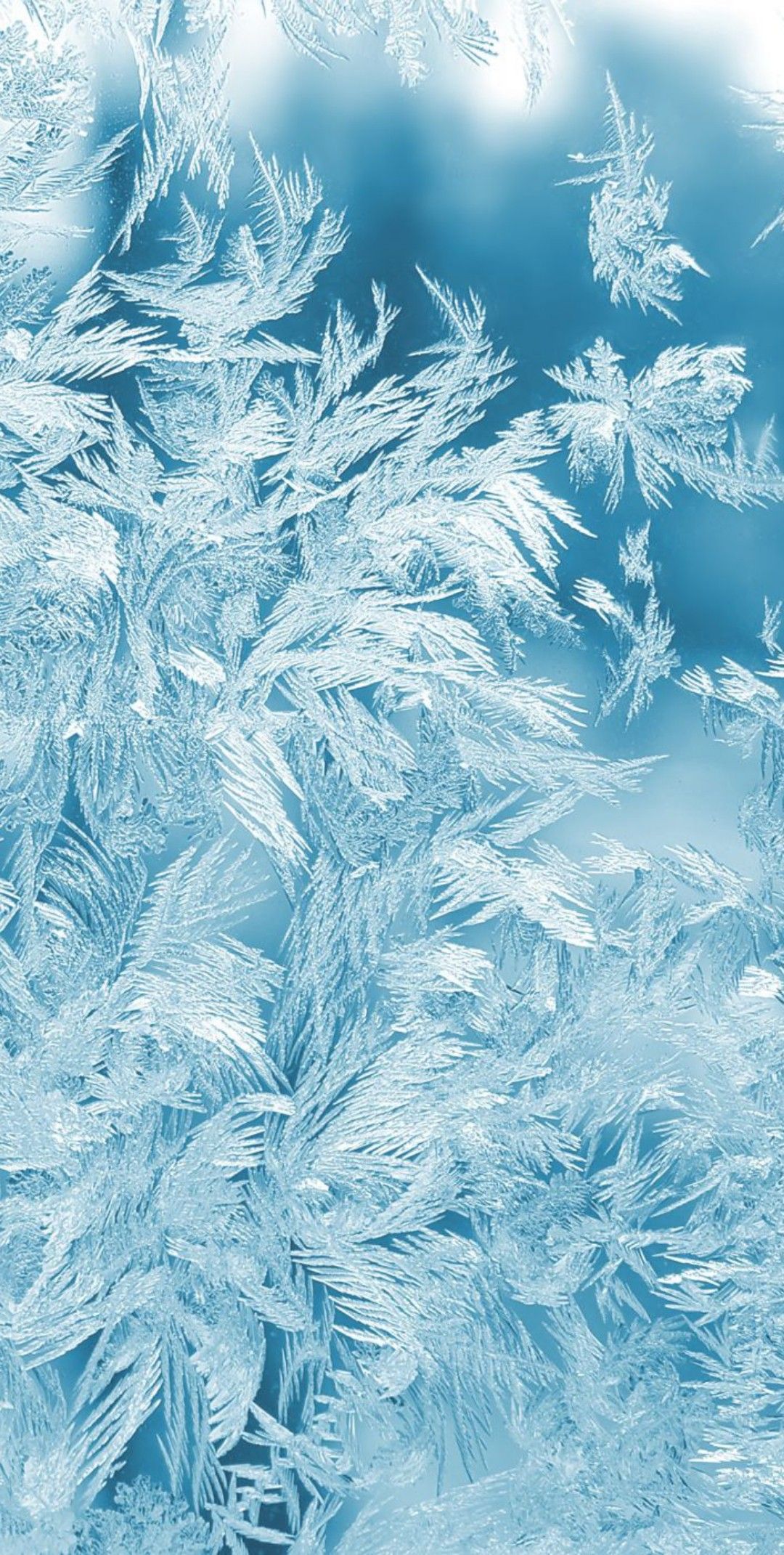 snow iphone wallpaper 0041