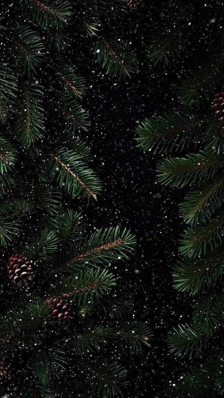 snow iphone wallpaper 0063