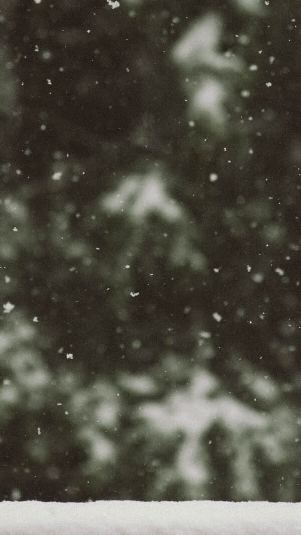 snow iphone wallpaper 0096