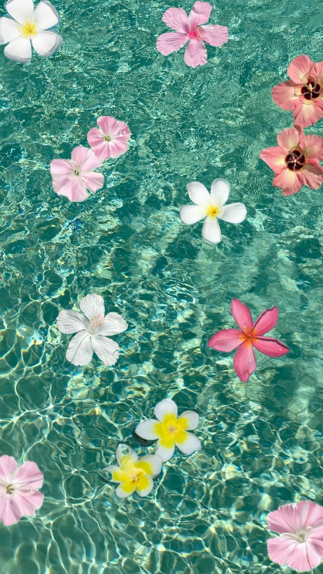 soothing aesthetic beach wallpaper iphone