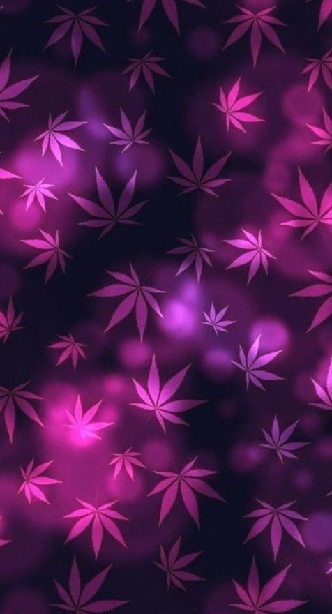 stoner wallpaper iphone 0060