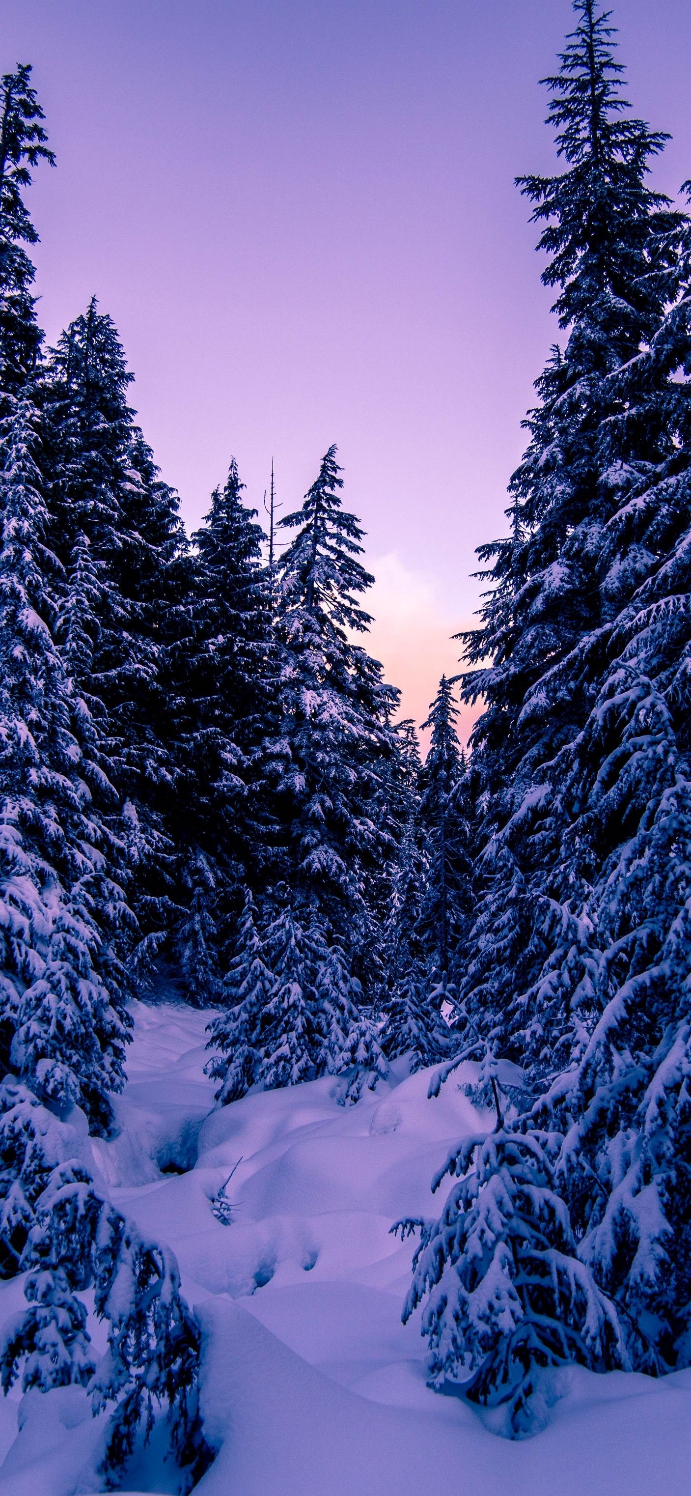 stunning winter iPhone wallpaper 4k images