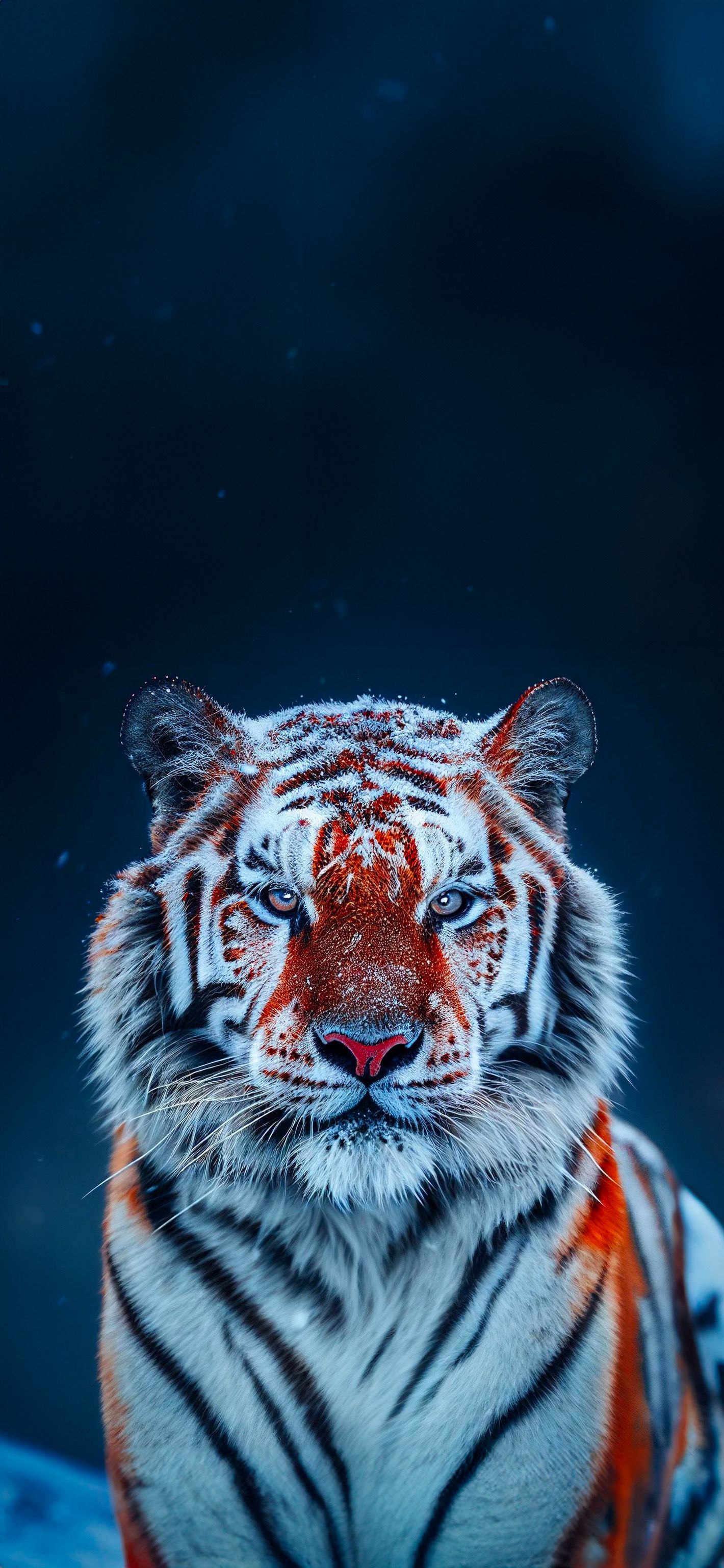 tiger face wallpaper iphone.