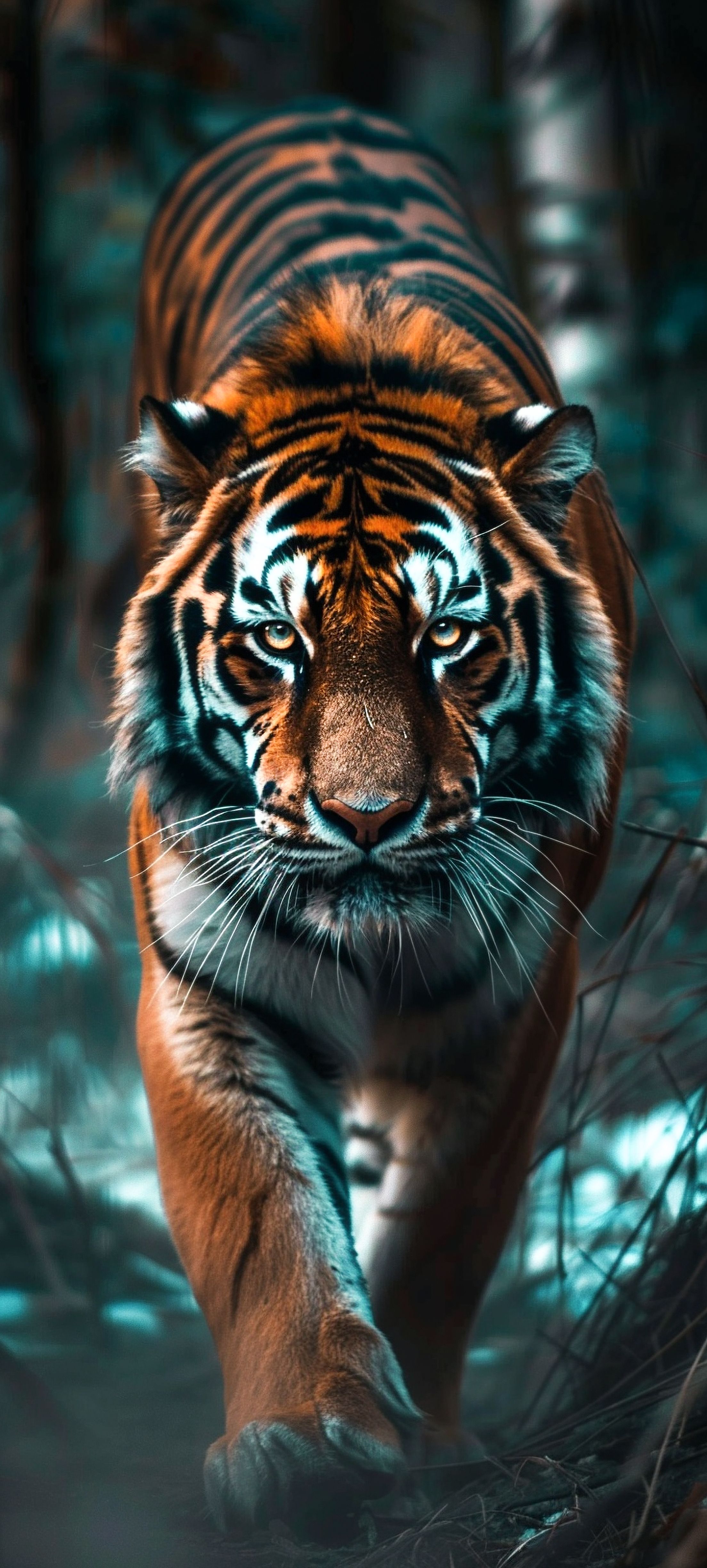 tiger wallpaper iphone HD