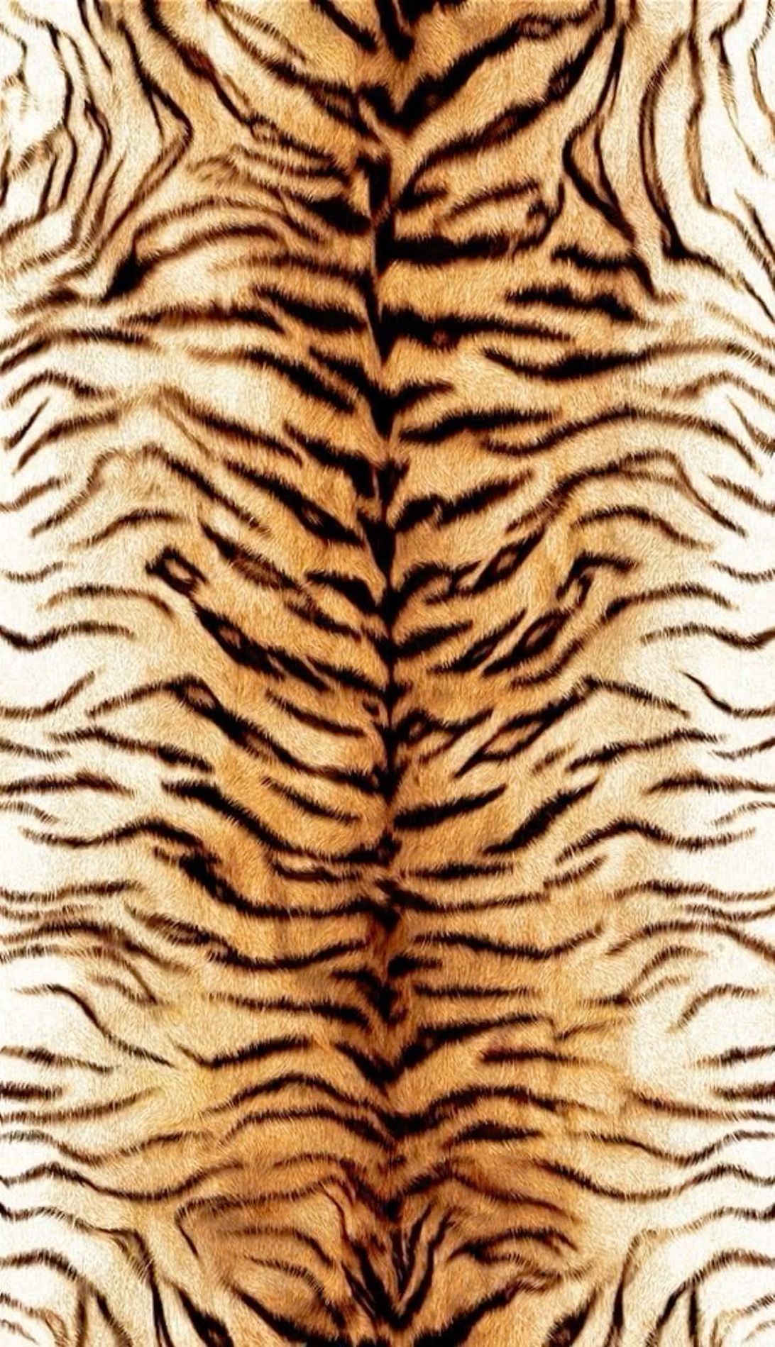 tiger wallpaper iphone 0023