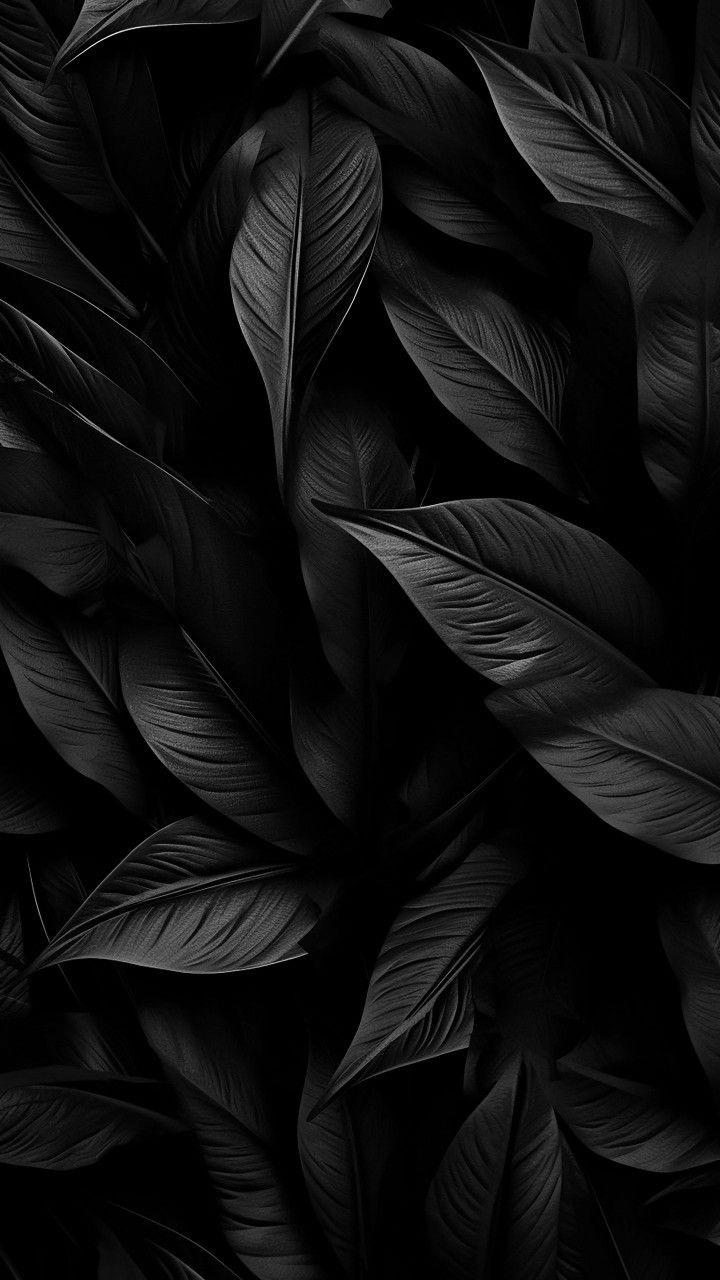 unique black iPhone background styles