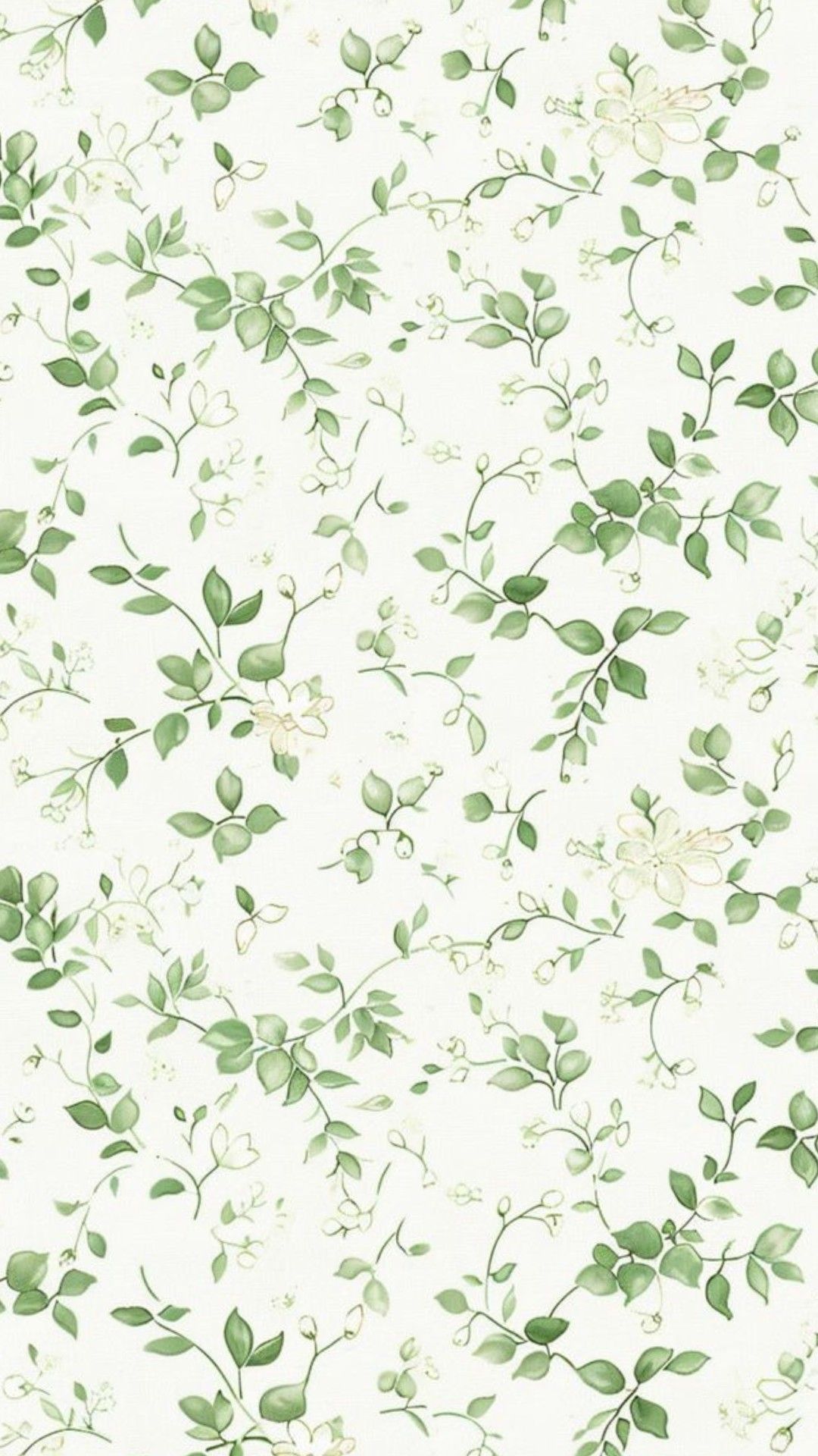 unique iphone sage green wallpaper styles.