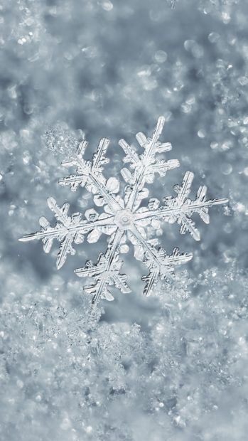 unique snowflakes iPhone wallpaper