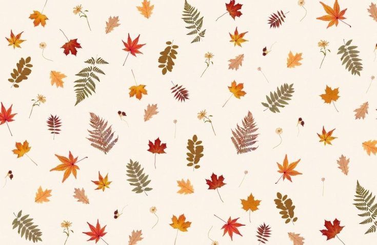 unique thanksgiving iphone wallpaper styles