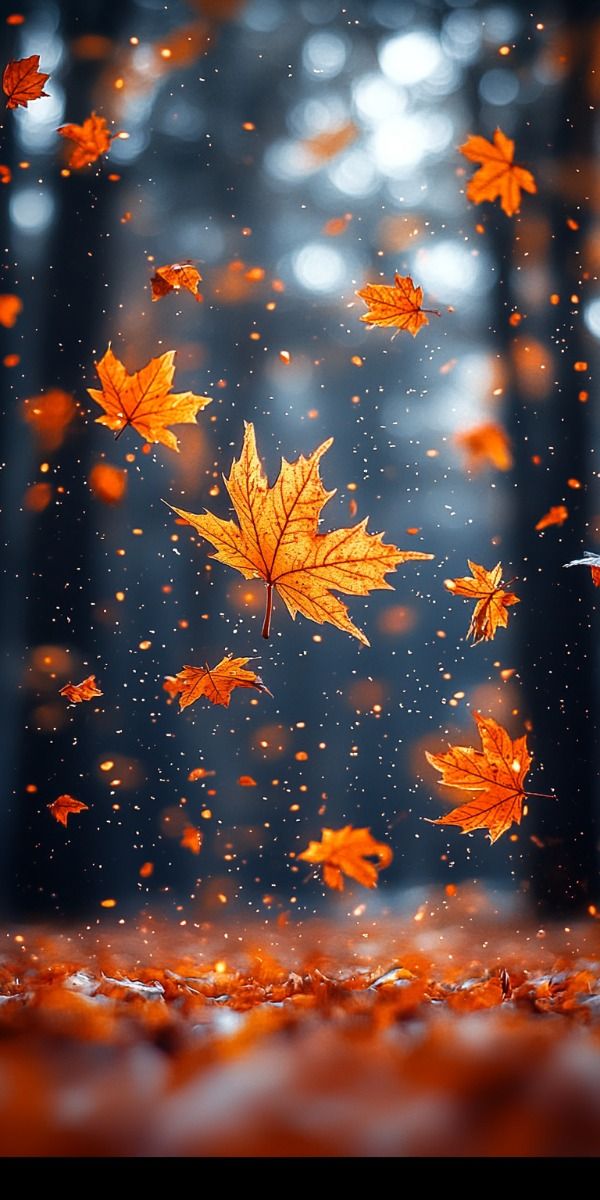 vibrant iphone fall wallpaper options