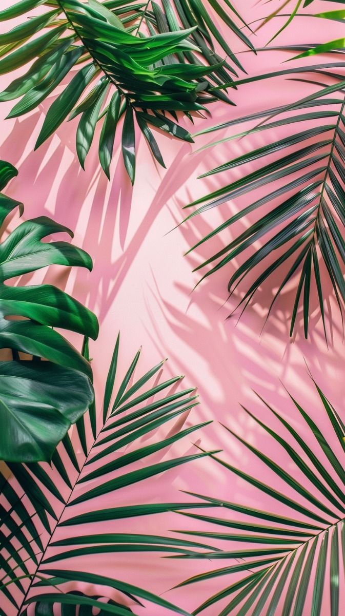 vibrant tropical wallpaper for iphone