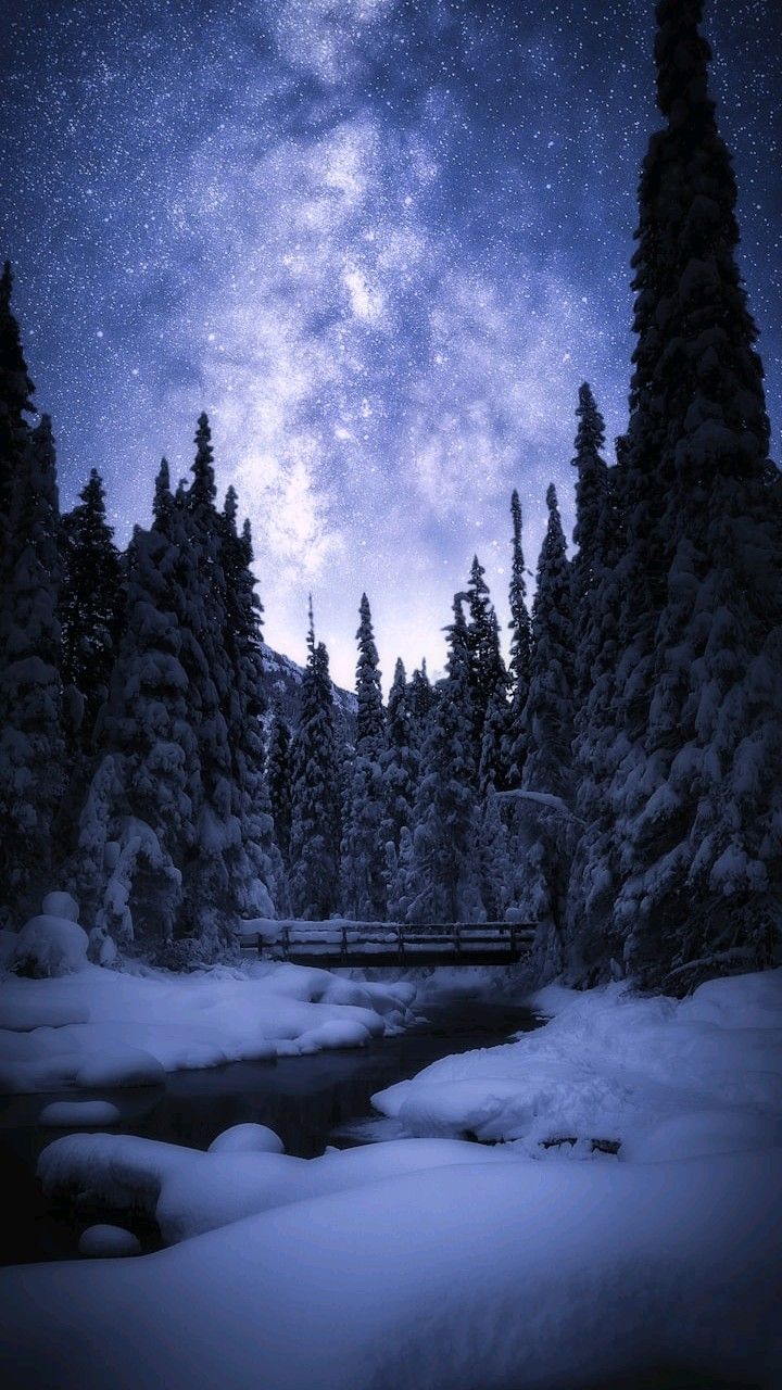 vibrant winter iPhone wallpaper 4k collection