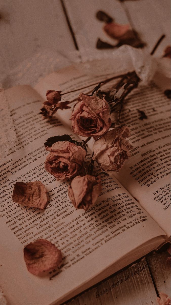 vintage aesthetic wallpaper iphone 0038